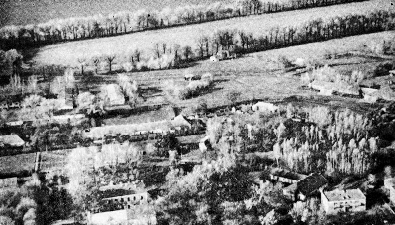 Панорама Дубровского конного завода (1972 г.)